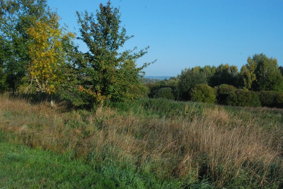 Cheb - Špitálský vrch