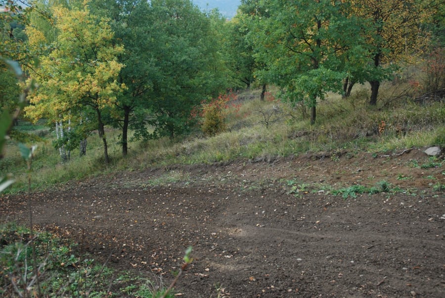 Ostrov nad Ohří
