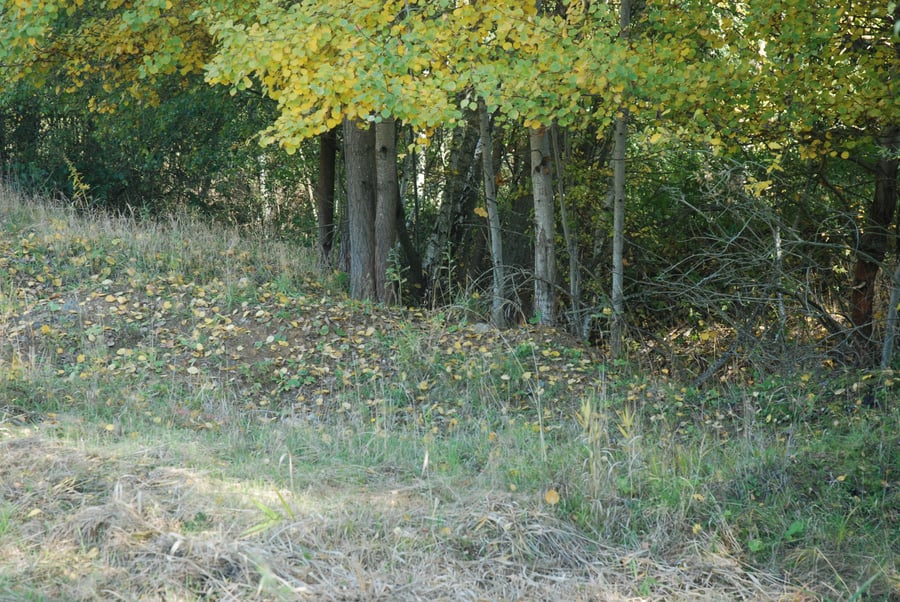 Běleč