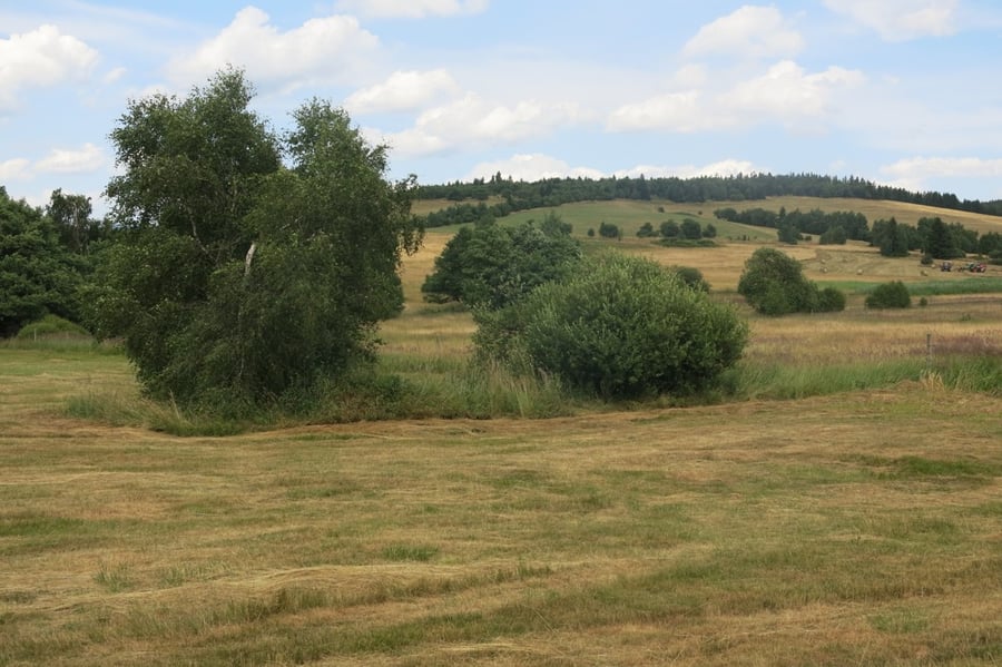 Červená Voda