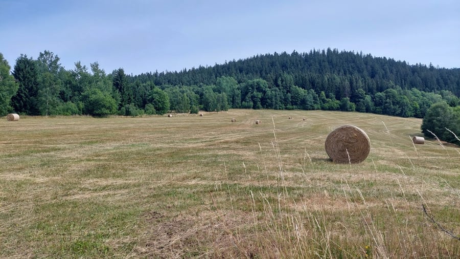 Kašperské hory - Ždánov
