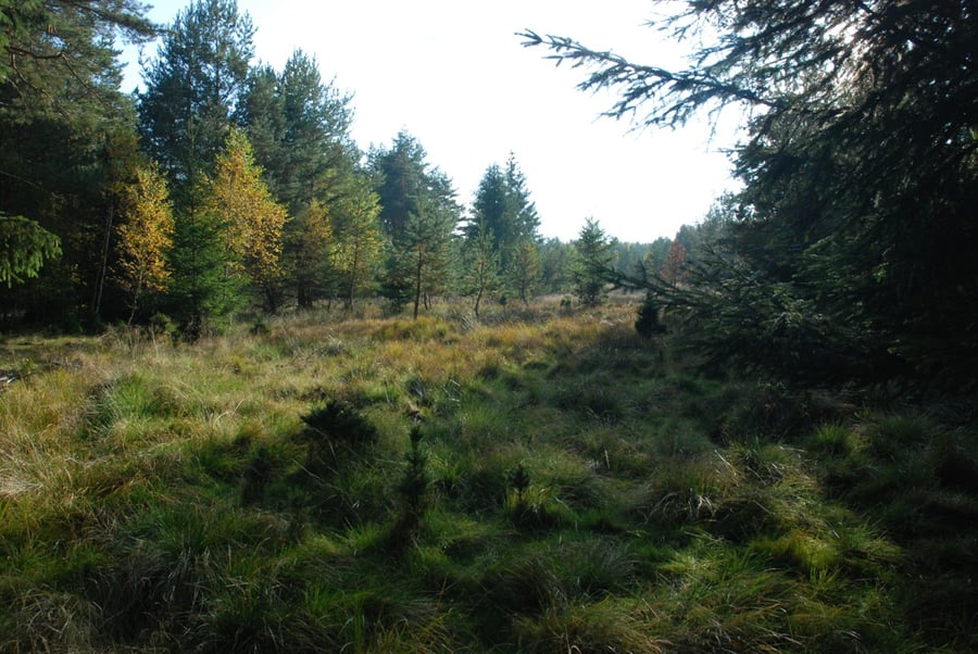 Manětín
