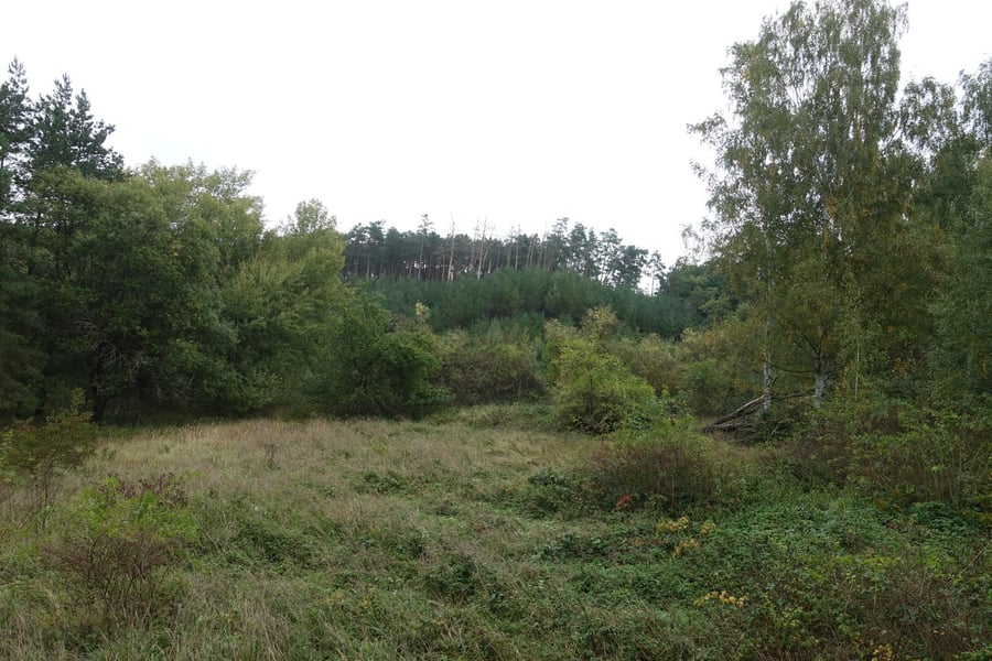 Libovice