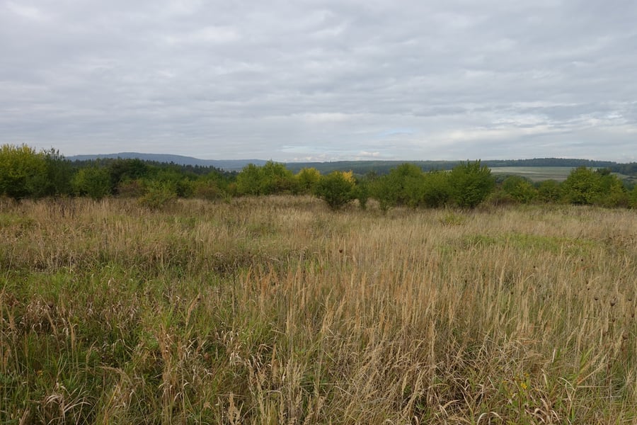 Šanov