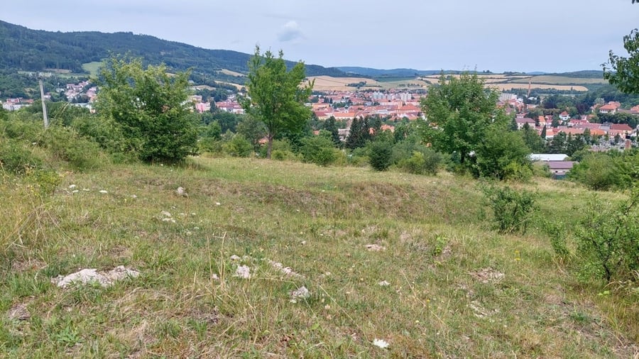 Sušice