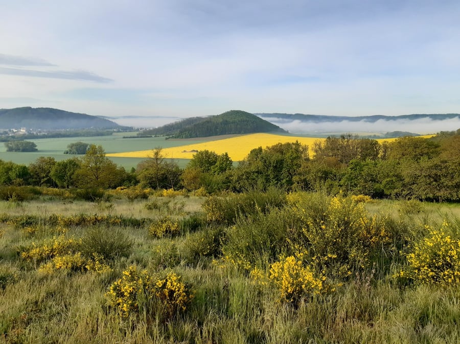 Malhostovice