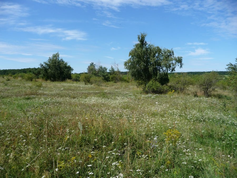 Mašovice