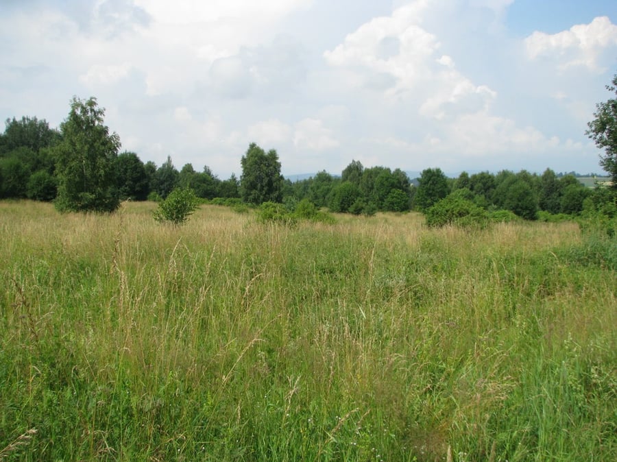 Domažlice