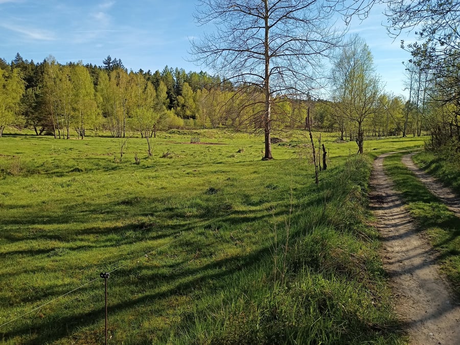 Těšínov