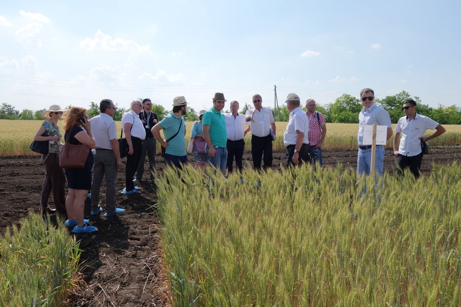Institucionální podpora v oblasti ekologického zemědělství v Moldavské republice