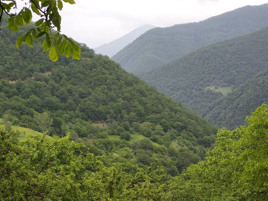 Projekt delegované spolupráce v Gruzii - spolufinancování ČRA