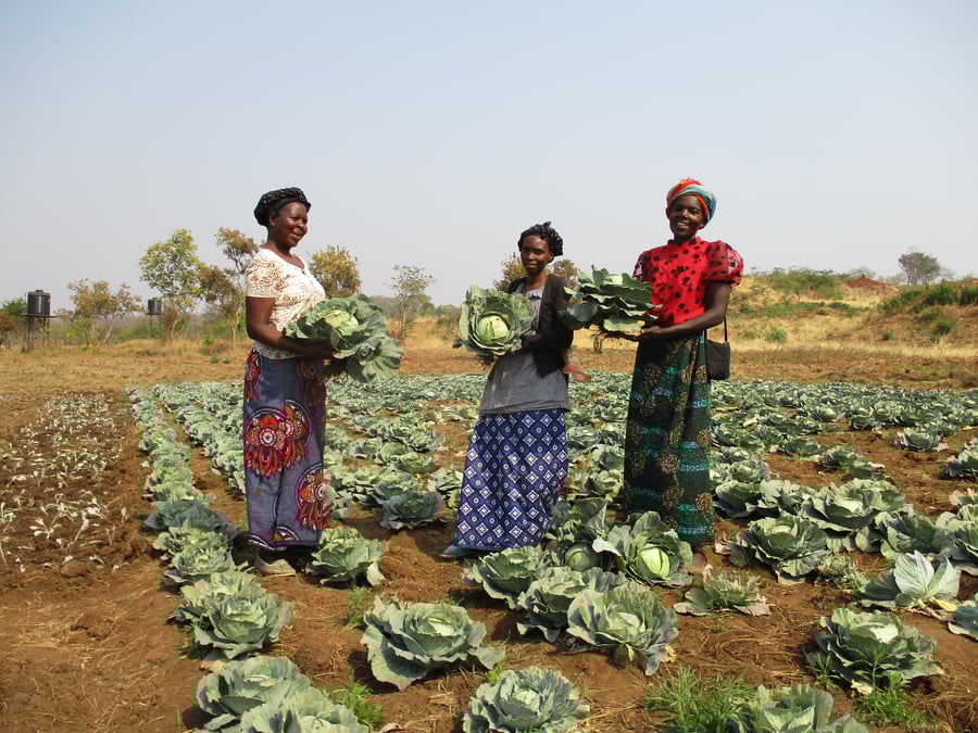 Řešení potravinové nejistoty a podvýživy podporou plodin bohatých na živiny v uprchlických osadách Meheba a Mayukwayukwa v Zambii III