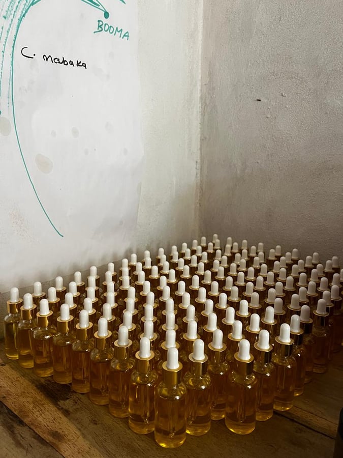 Zpracování divokých olejů a udržitelné hospodaření v lesích II.