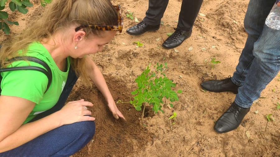 Demonstrační farma pro udržitelné lesní hospodářství, zpracování divokých olejnin a agrolesnictví