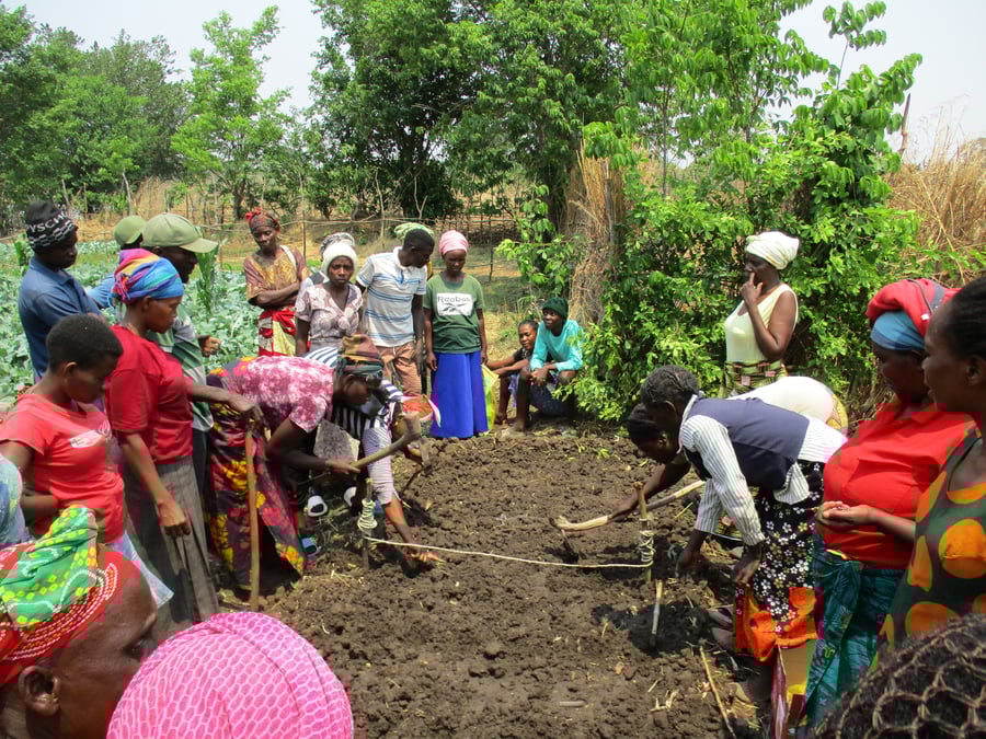 Řešení potravinové nejistoty a podvýživy podporou plodin bohatých na živiny v uprchlických osadách Meheba a Mayukwayukwa v Zambii II.
