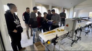 Zavedení norem a transferu know-how pro správné řízení centra třídění a balení ovoce a zeleniny.