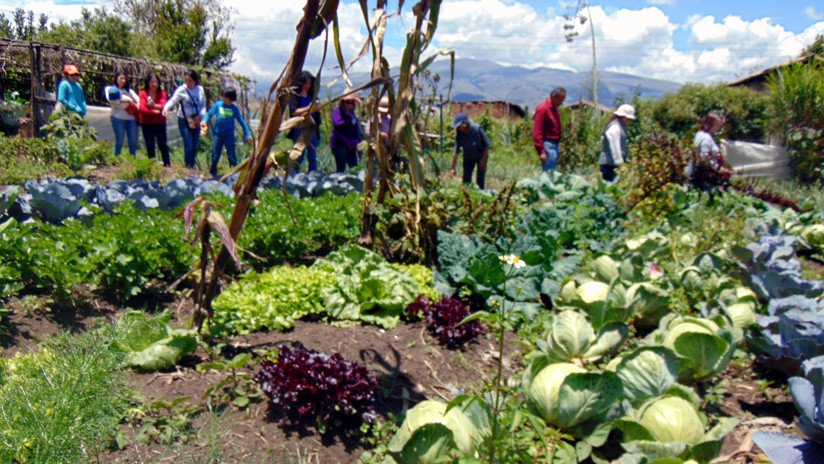 Zvýšení ekonomické odolnosti 80 lidí žijících v chudobě a se zdravotním postižením