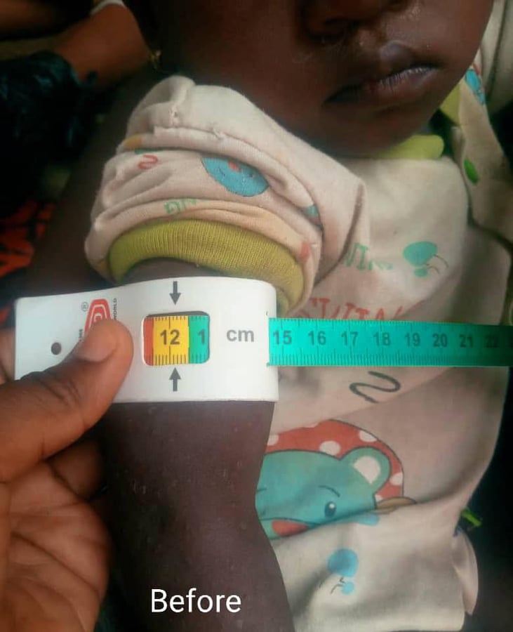 Projekt IFRC zaměřený na posílení potravinového zabezpečení a odolnosti, vytváření příležitostí pro udržitelné živobytí, řešení zdravotnických problémů a posilování odolnosti vůči klimatickým změnám ve státě Zamfara v severozápadní Nigérii