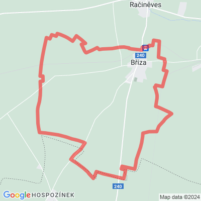 Bříza