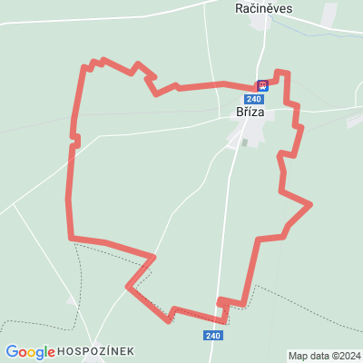 Bříza