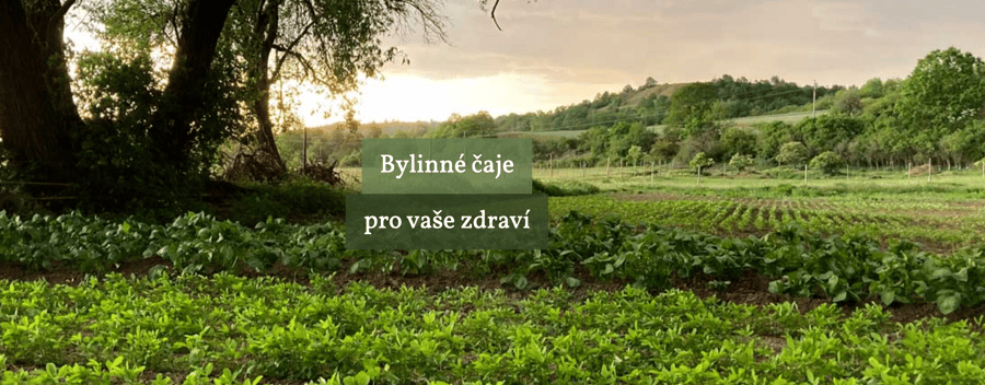 Zdislavatea