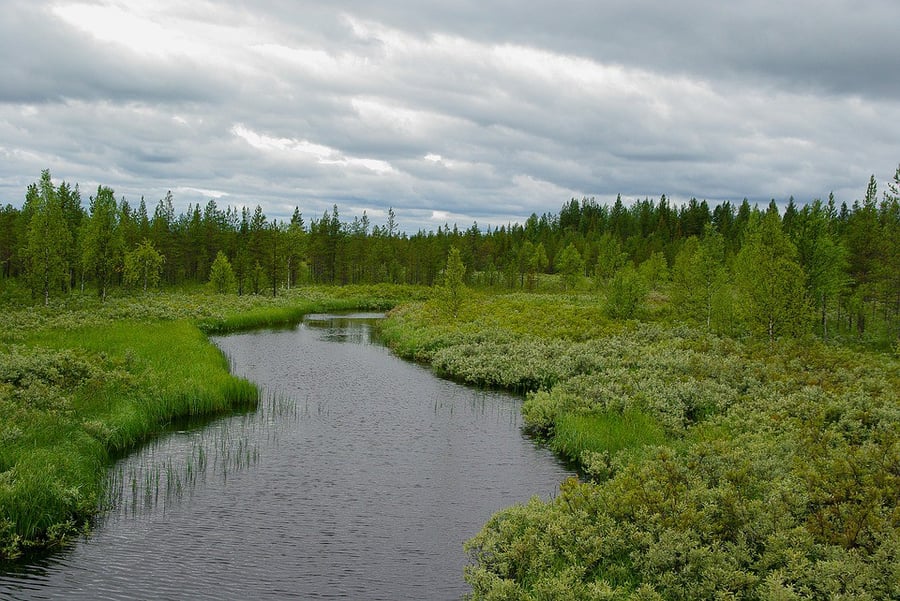 Wild Taiga, Finland