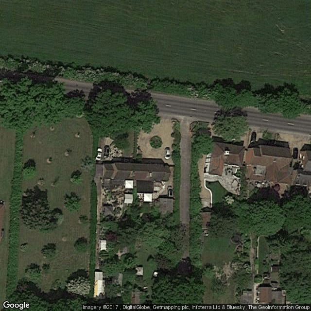 Binfield Vineyard