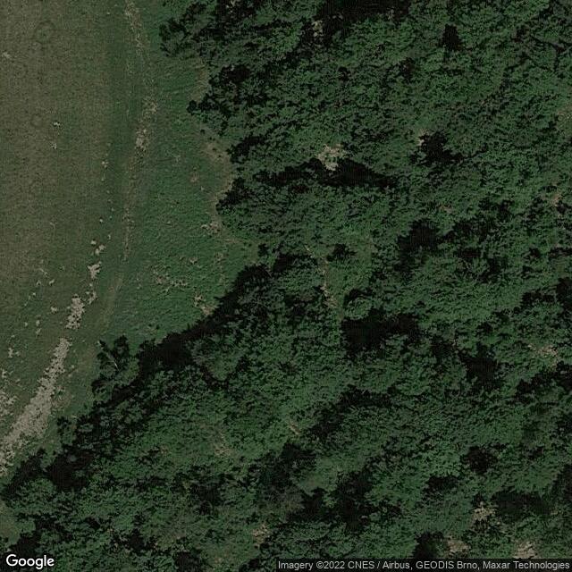 Fidlův kopec (680 m, Oderské vrchy)