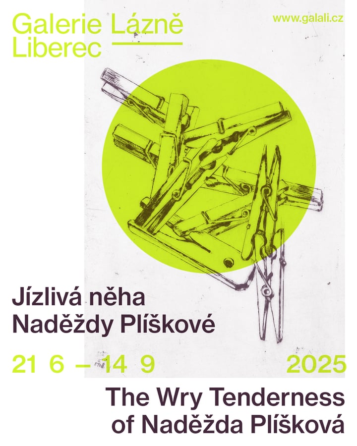 Jízlivá něha Naděždy Plíškové