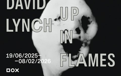 David Lynch – Up in Flames