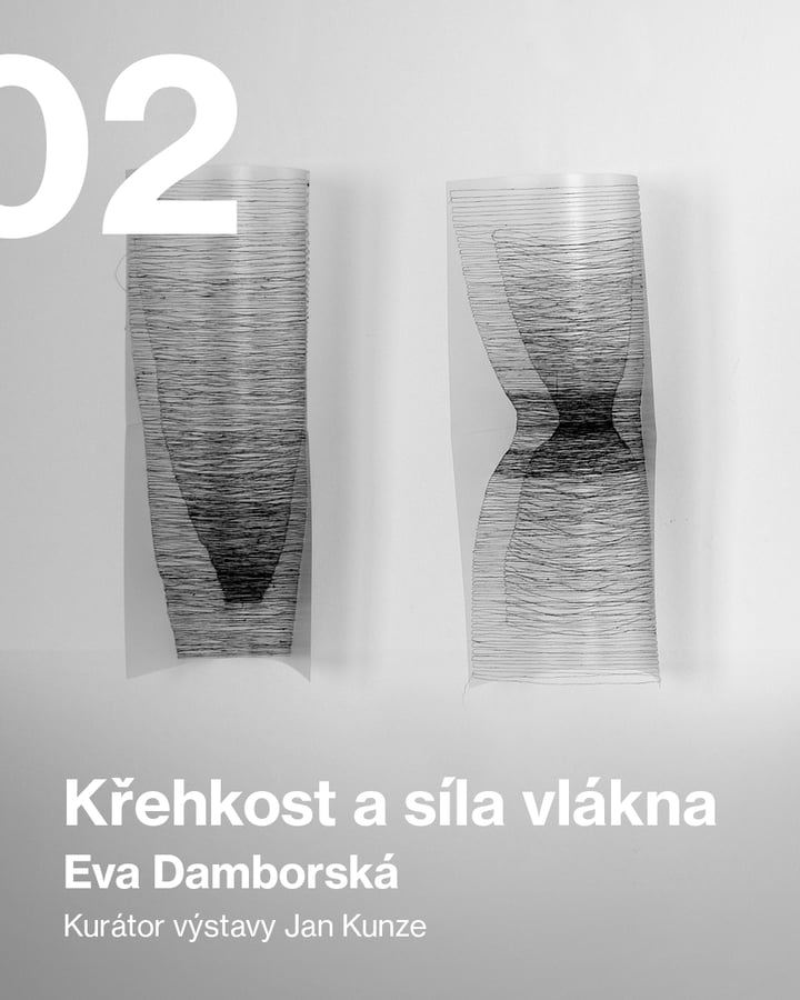 Eva Damborská – Křehkost a síla vlákna