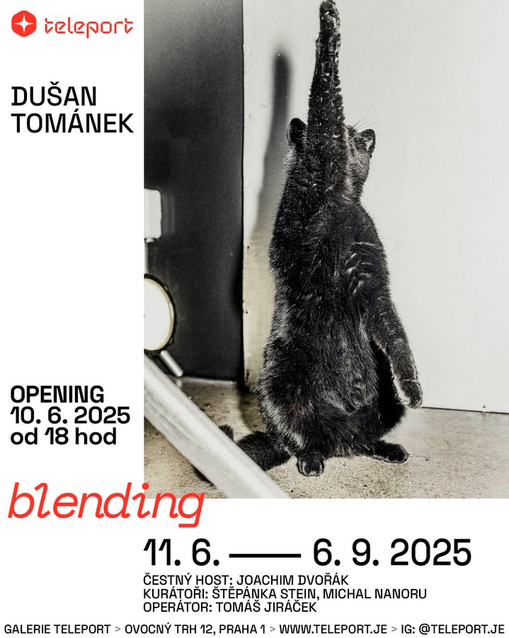 Dušan Tománek – Blending