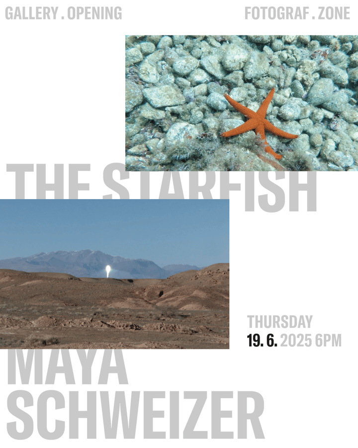 Maya Schweizer – The Starfish