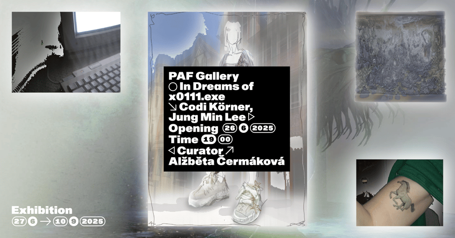 Codi Körner, Jung Min Lee – In Dreams of x0111.exe