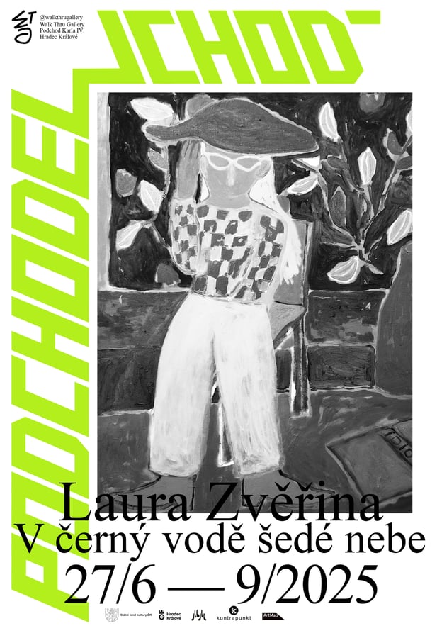 Laura Zvěřina – V černý vodě šedé nebe