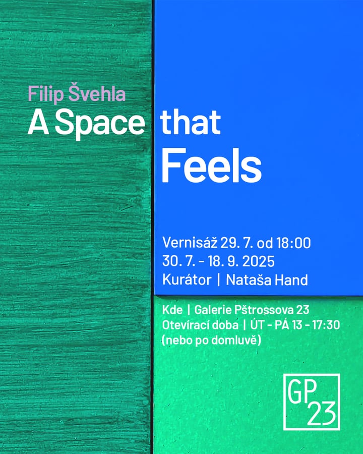 Filip Švehla – A Space That Feels