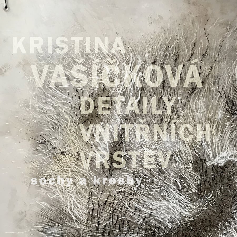 Kristina Vašíčková – Detaily vnitřních vrstev