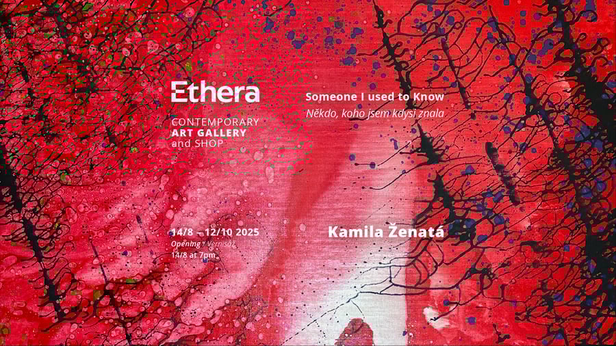 Kamila Ženatá – Someone I Used to Know