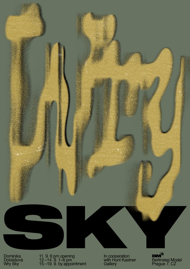 Dominika Dobiášová – Wry Sky