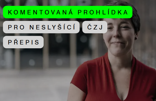 ZnakoFest: Přístupnost pro neslyšící