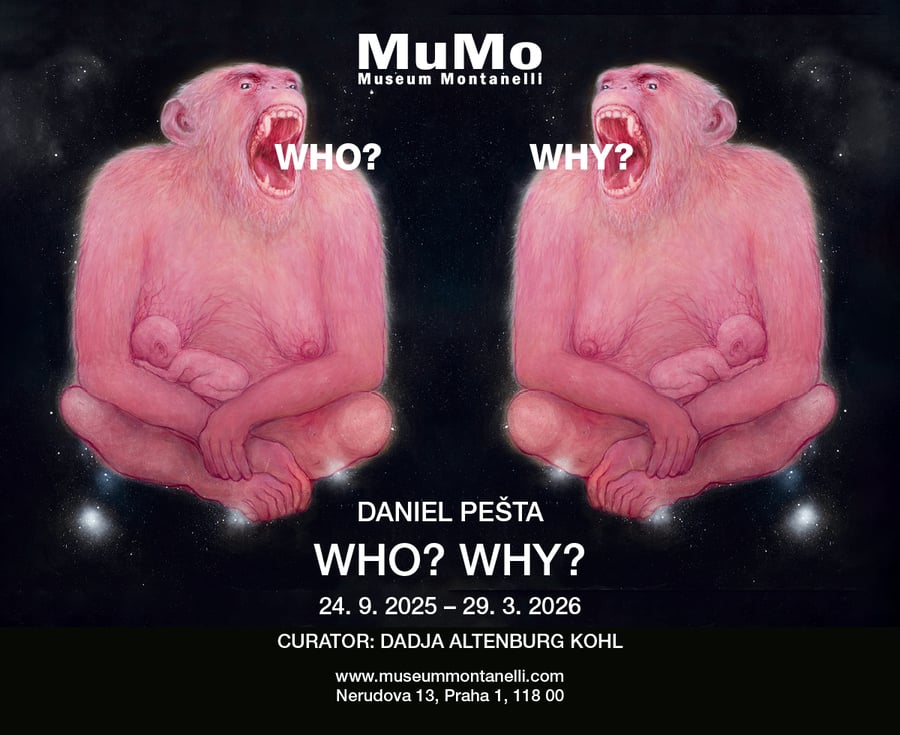 Daniel Pešta – WHO? WHY?