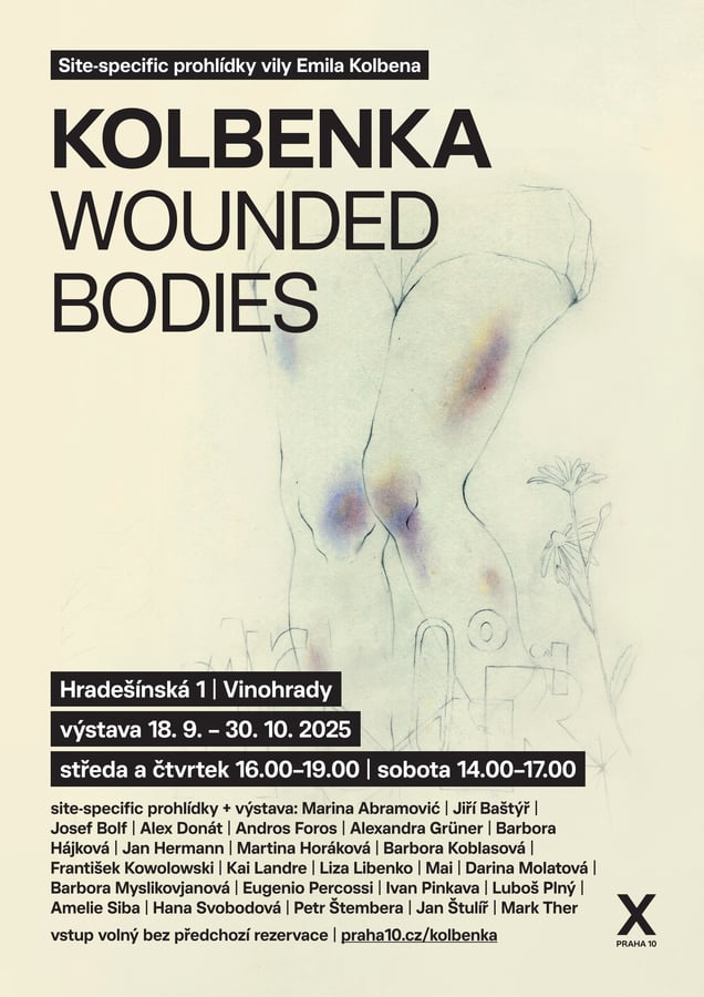 Wounded Bodies