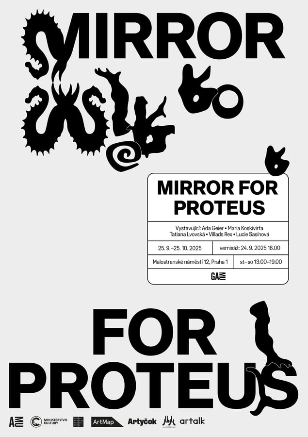 Mirror for Proteus