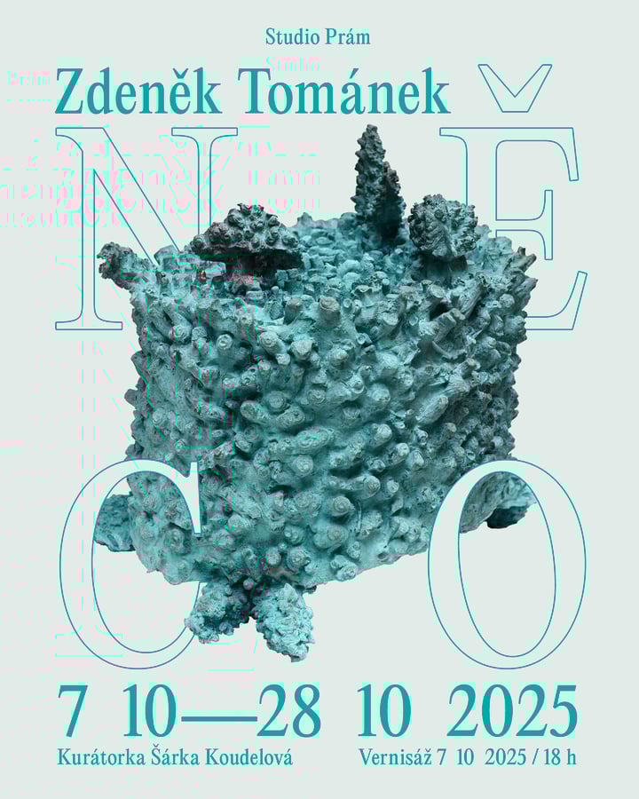 Zdeněk Tománek – Něco
