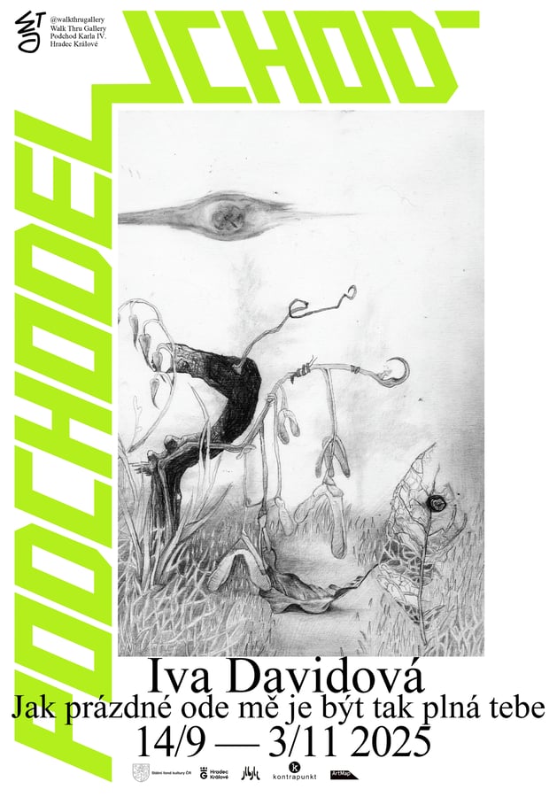 Iva Davidová – Jak prázdné ode mě je být tak plná tebe