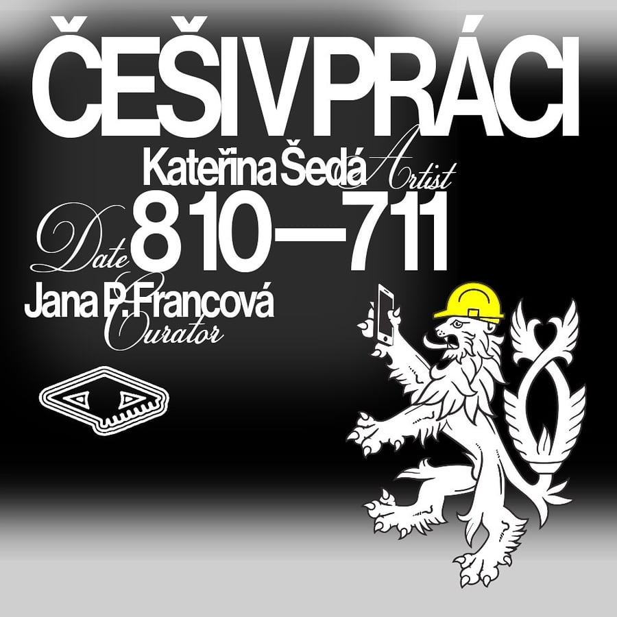Kateřina Šedá – Češi v práci