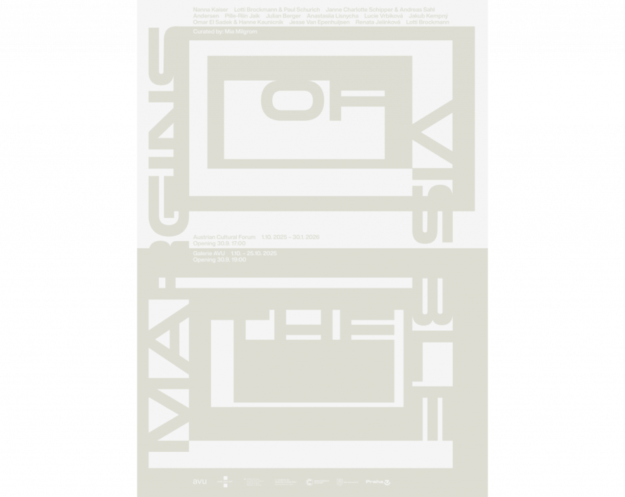 Margins of the Visible