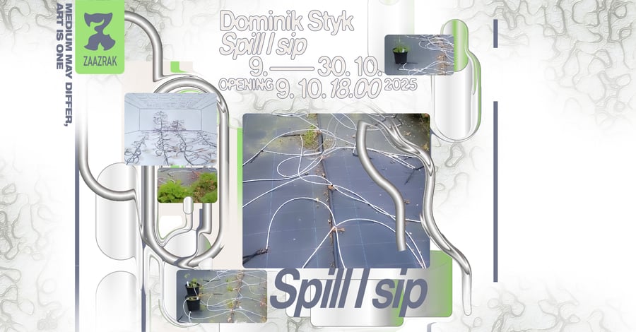 Dominik Styk – spill I sip