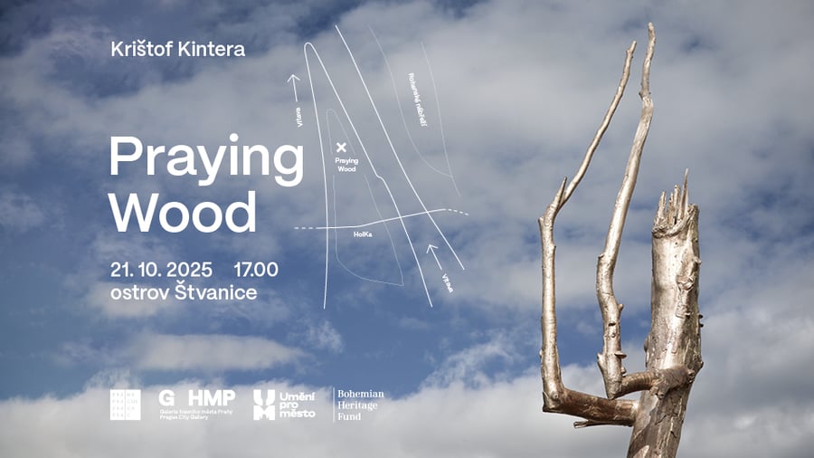 Krištof Kintera – Praying Wood