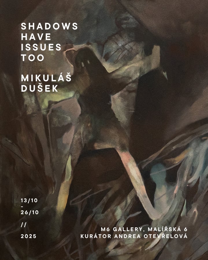 Mikuláš Dušek – Shadows Have Issues Too